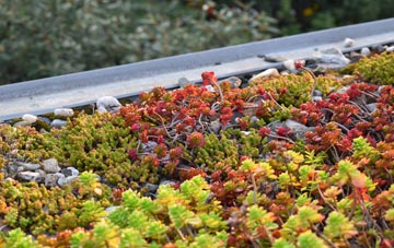 the cost of Bramhope green roof installation