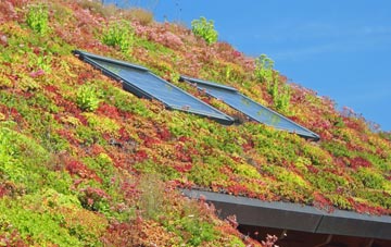 Bramhope living roof systems